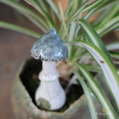 Champignon Maison des...