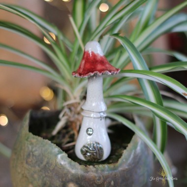 Champignon Maison des...